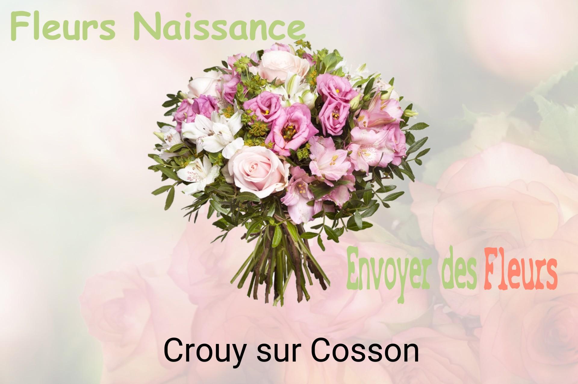 Bouquet de fleurs de naissance livré à Crouy-sur-Cosson